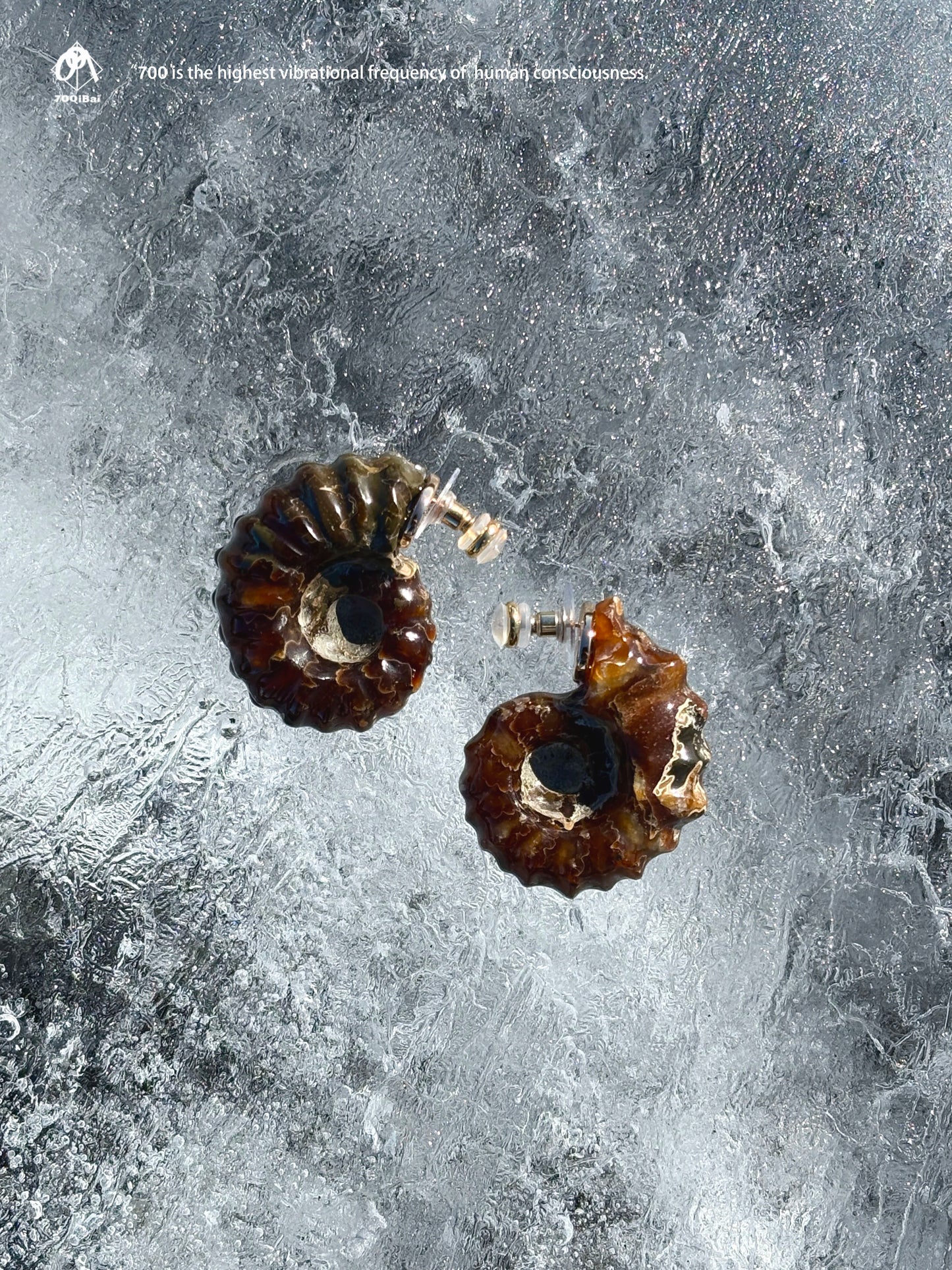 Helix Fossil