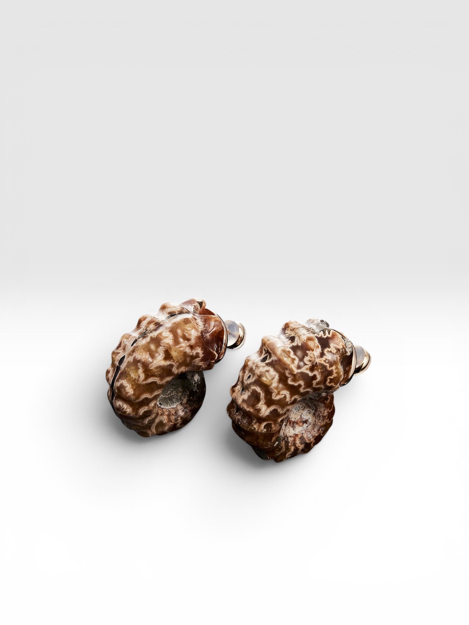 Gold Helix Fossil earrings with natural Ammonite Fossil by QiBai London